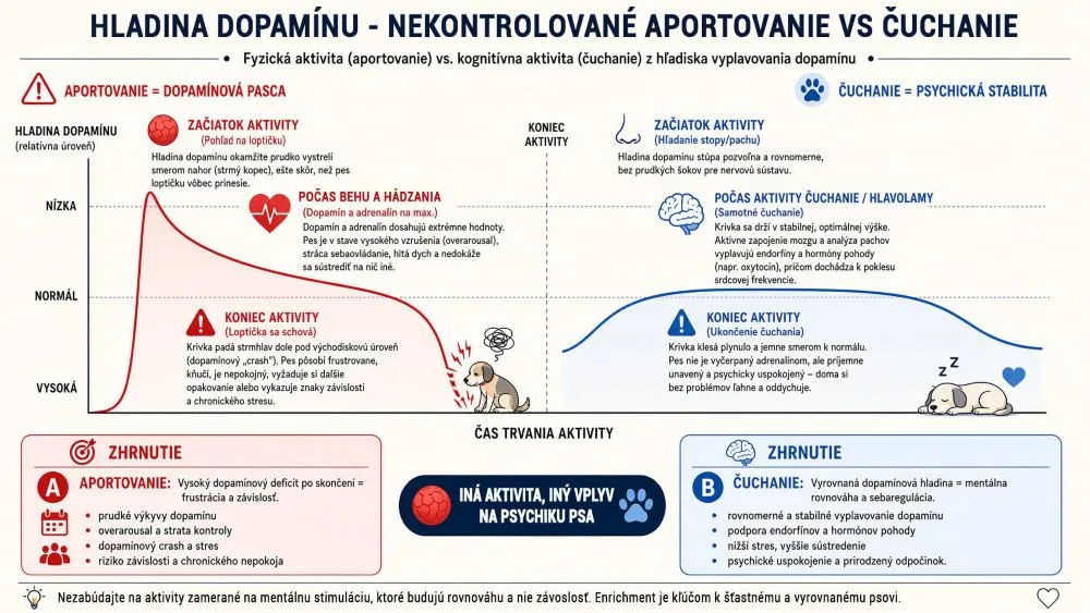 Dopamínová krivka pri aportovaní vs čuchaní - infografika