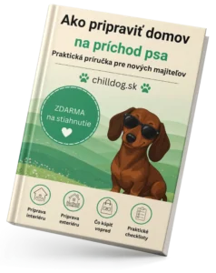 Ako pripraviť domov na príchod psa - e-book príručka