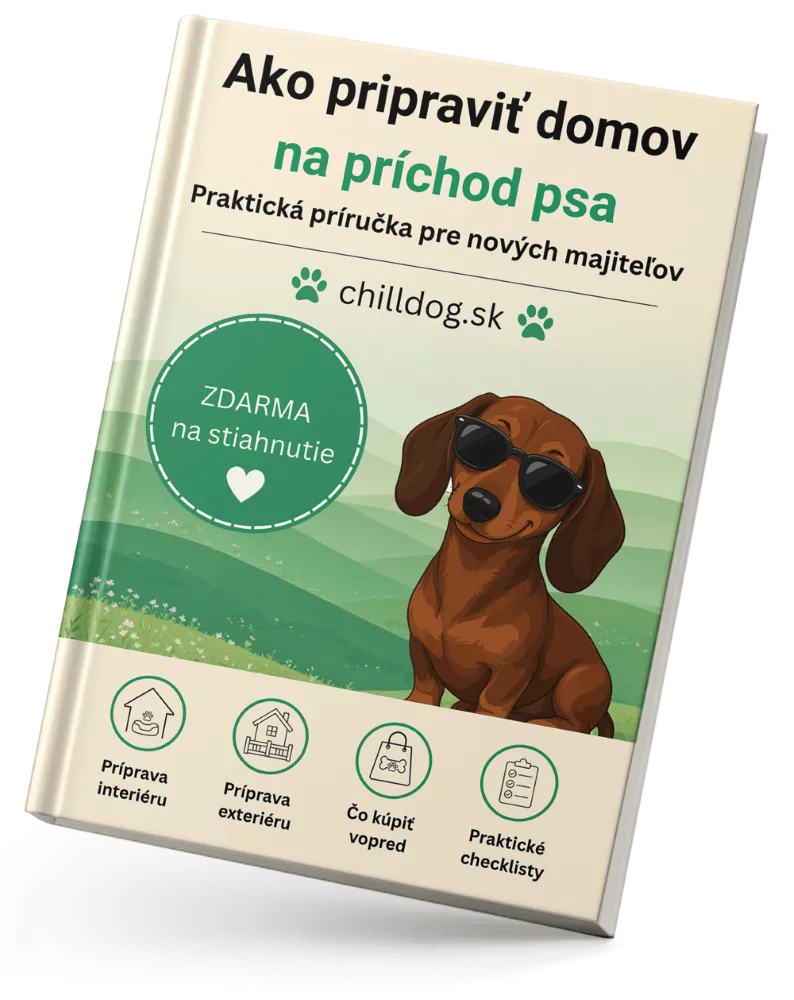 Ako pripraviť domov na príchod psa - e-book príručka