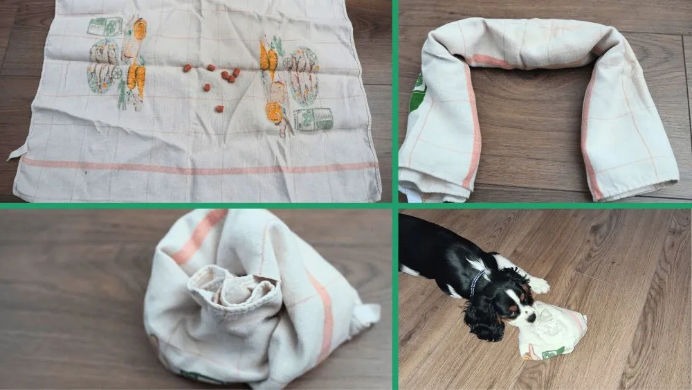 Kavalier King Charles španiel pri DIY hre - hlavolam z uteráka