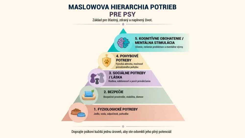 Maslowova pyramída potrieb pre psov - infografika